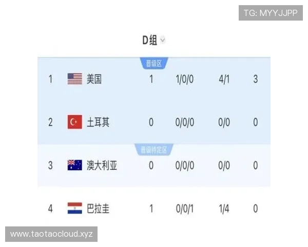 美国2-3土耳其：世界杯D组末轮战报